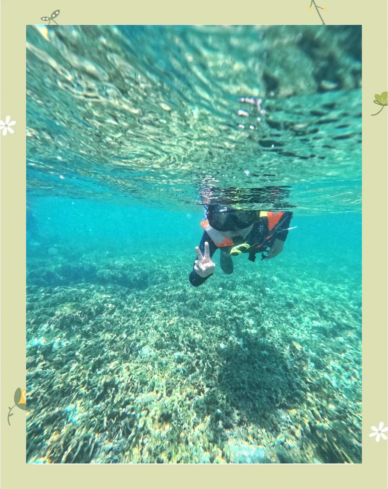 海底探险潜水比赛，开启深海奇妙之旅